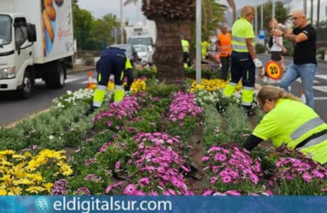 Costa Adeje Adds a Splash of Colour to Avenida de los Pueblos