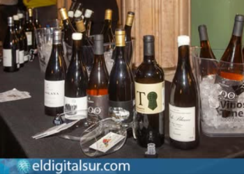 Tenerife Wines Steal the Show at the Macarfi Gala 2026