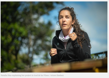 Meet the Tenerife Beekeeper Caring for 200 Hives and the Island’s Native Black Bees